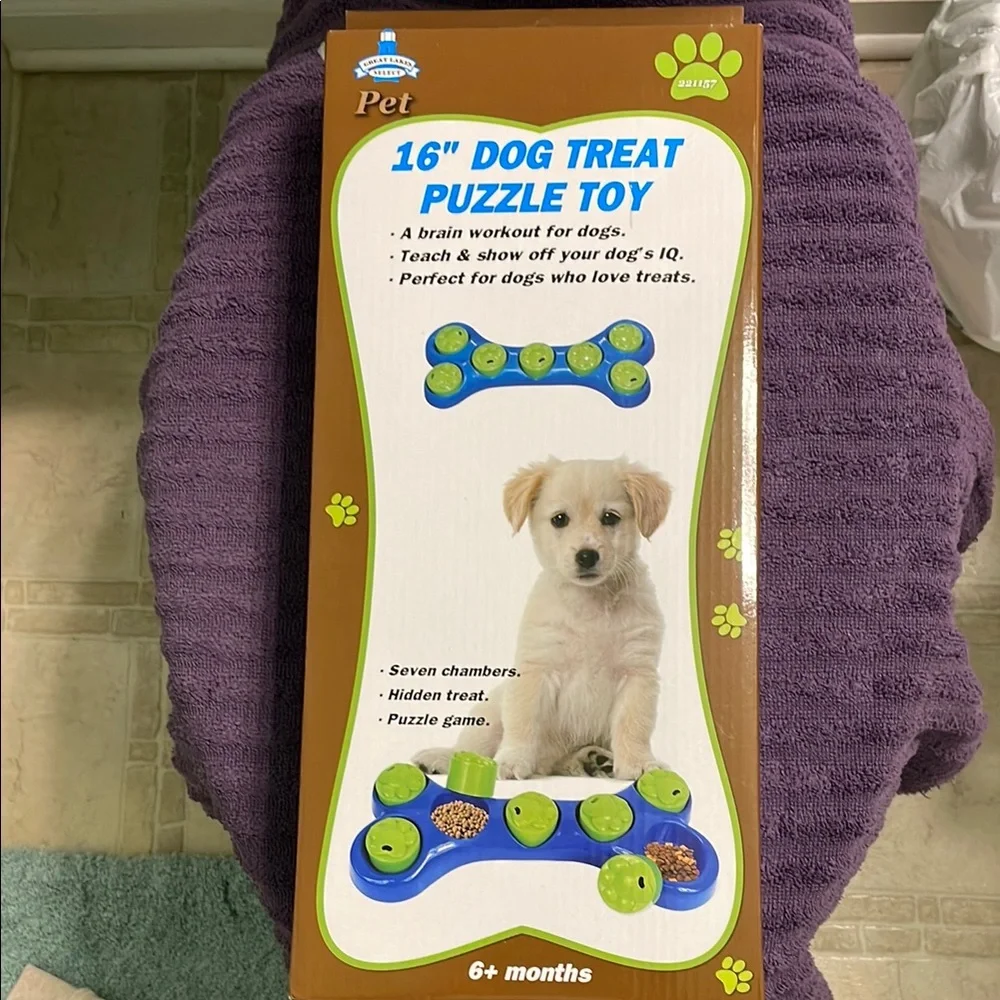 Green and Blue Dog Treat Puzzle Toy
